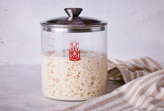 Gluten-Free Sourdough Starter made with Bread Flour 