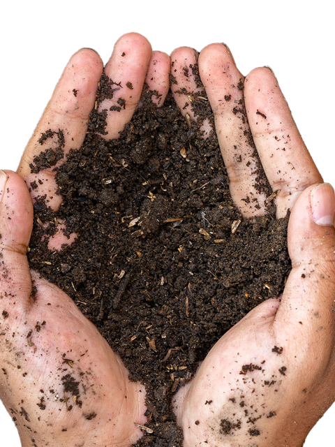 Soil in Hands